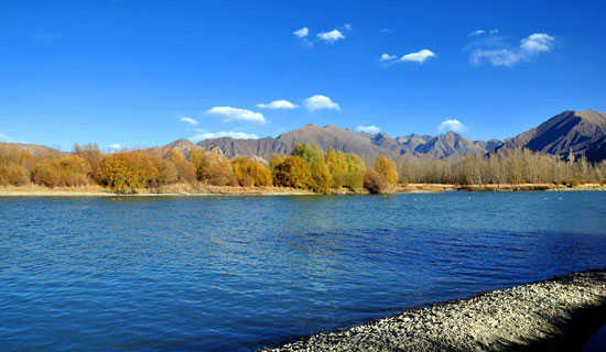 ����ľ��ʹ���