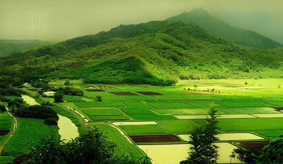 �ټ���δ���ټ�����ʫ��