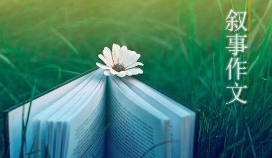 ѧУ�����ݵ���������������