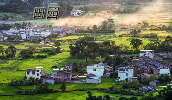 游南湖作文400字