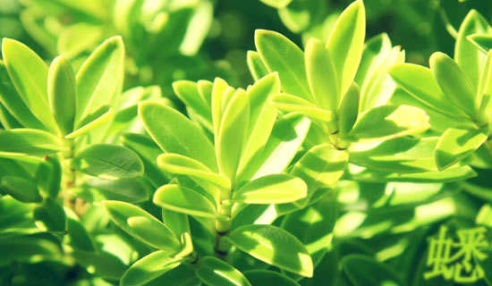 ����ʱ���㳡������д