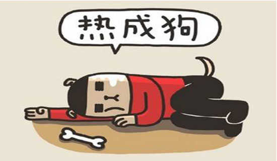 热电公司新年联欢会的主持词