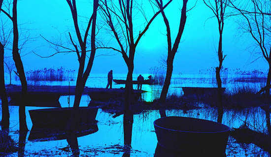 寂寞周而复始杂文随笔