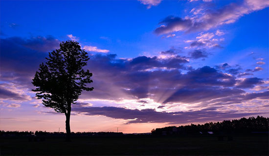 暑期90学时培训心得
