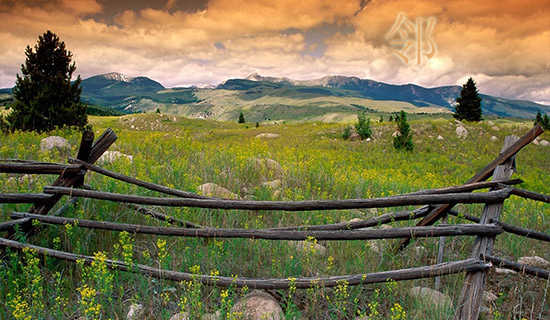 �����������