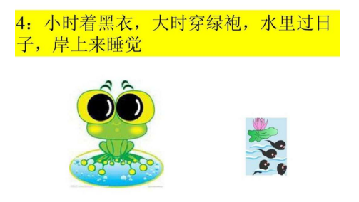 猜动物谜语及答案大全