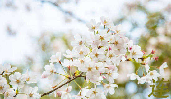 连声这个词怎么造句