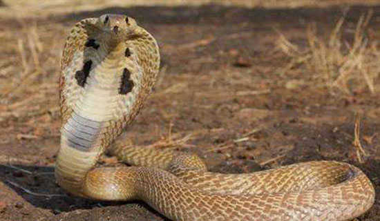 ������ҵ����