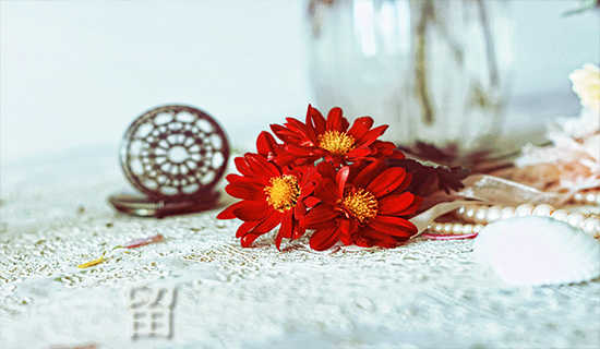 �����ִ�ʫ��