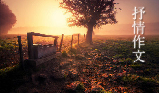 ������д����������ƪ