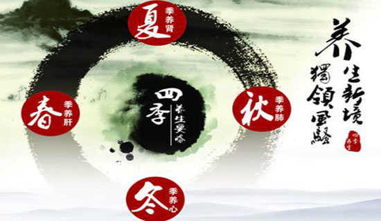 《四则运算》说课稿范文