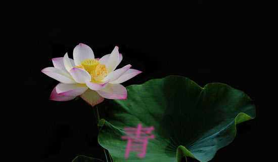 青春,是一首耐读的诗散文