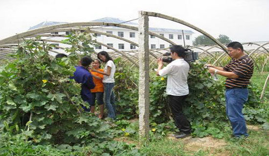 ���ڴ�ѧ�����ڼҽ�ʵ�����淶���Ƽ�