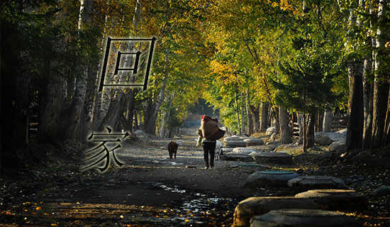 »ØÍûÕ¹ÍûÈÕ¼Ç