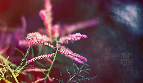 Ľ���������మ���˲�����һ�𡷸��