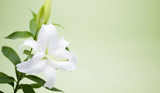 ����Ĺ����꼶����1000��