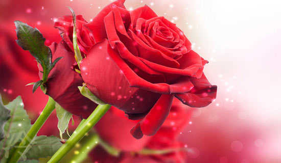 ���ִ�ʫ��