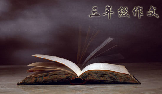 �ɰ���С�����꼶����550��