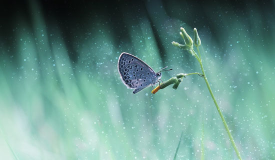 ����ĸ�����꼶400������