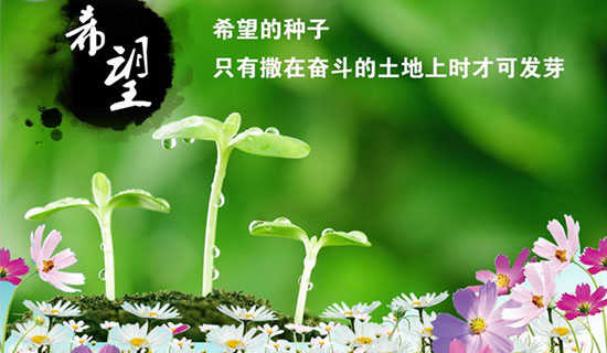 希望人生路曙光诗歌