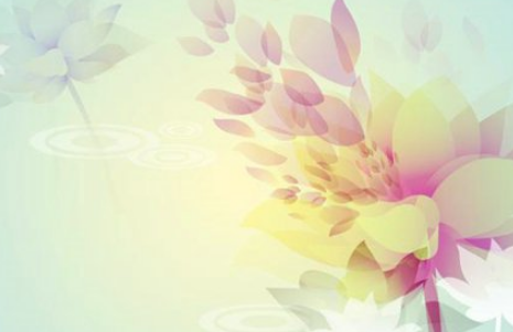 2019����˵˵