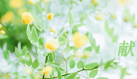 �׸��Լ��ִ�ʫ��