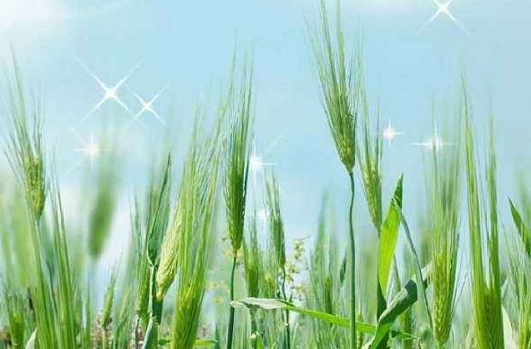 С�ף����ѹ���ʫ��