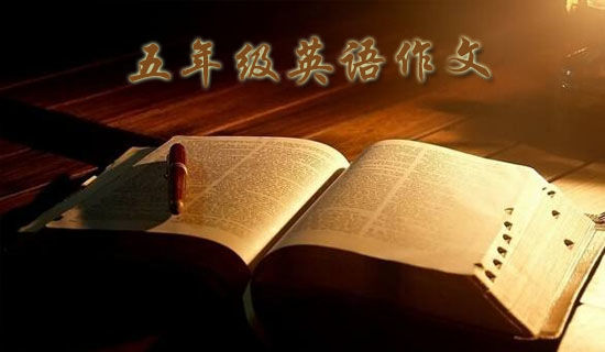 我最喜欢的春节五年级作文