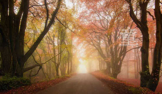 ͯ���е�����ʫ��