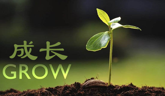 ���Ͷ��ҿ������꼶��������