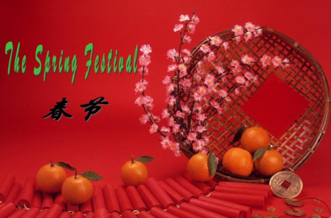 春节英语作文4篇