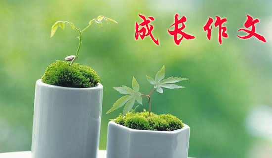 植树护绿,我与小树同成长作文