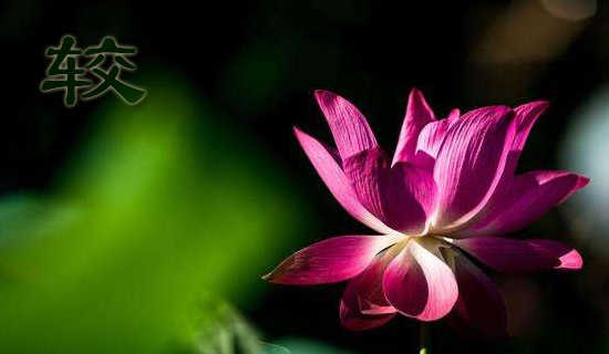 ��̰������ȫ�ķ���