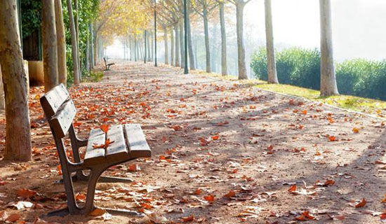 �о����յ�һ����Сѧ������300��