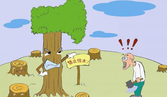 �������뵽����