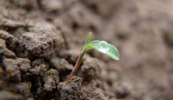 ����������������е����һ������700��