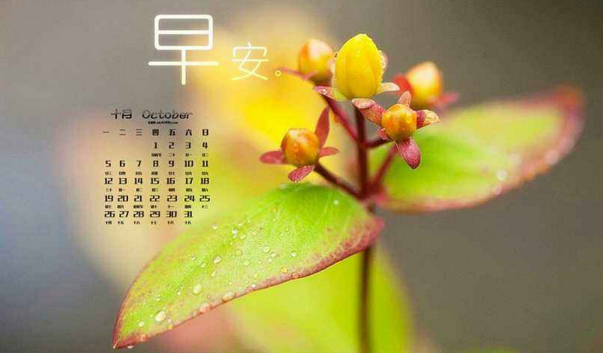 早安好心情说说