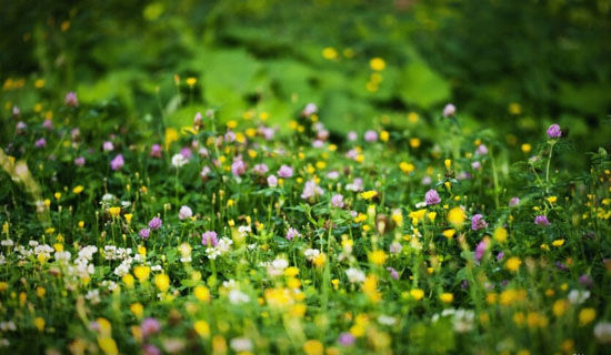 �ʵ۵���װ��д900��