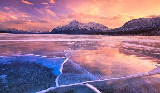 ����������¼