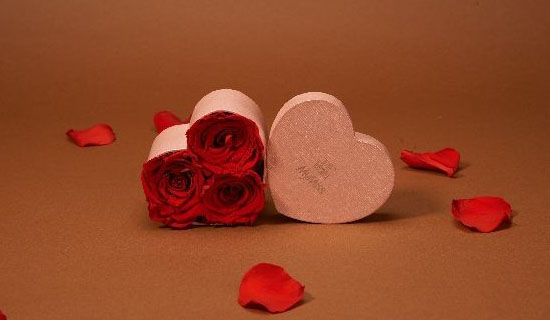 ��һĨ��ů���ʺ��һ����