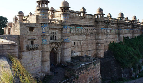 �����Ų�������������