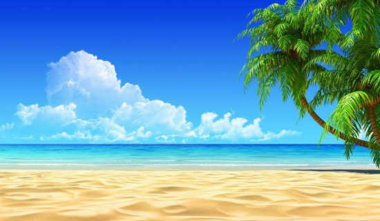 ���������¡����