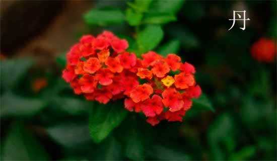 �����׵������ռ�