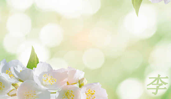 �������ľ�����¼