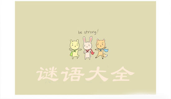 ��������ʹ�