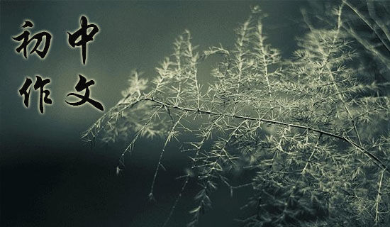 ������ѧʫ�뵽�ĳ�������