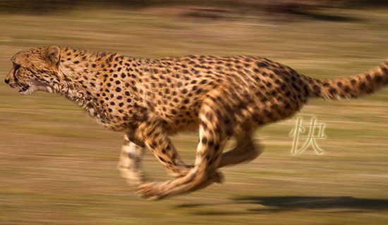 ���ֵ�����ʫ��