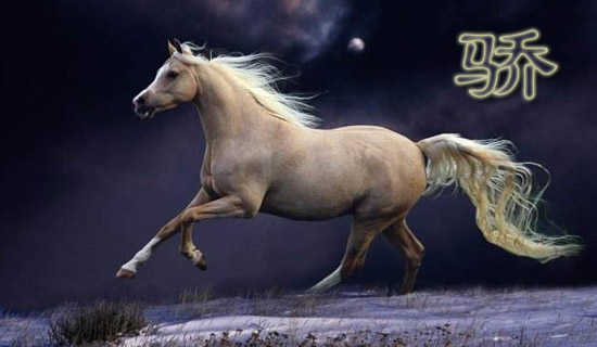 �����Ĳ������