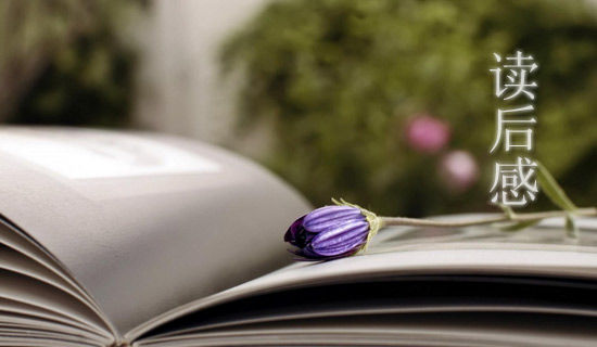 ��С���ˡ������700��