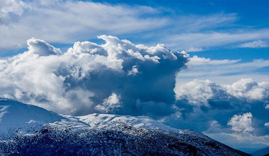 ����ķ����